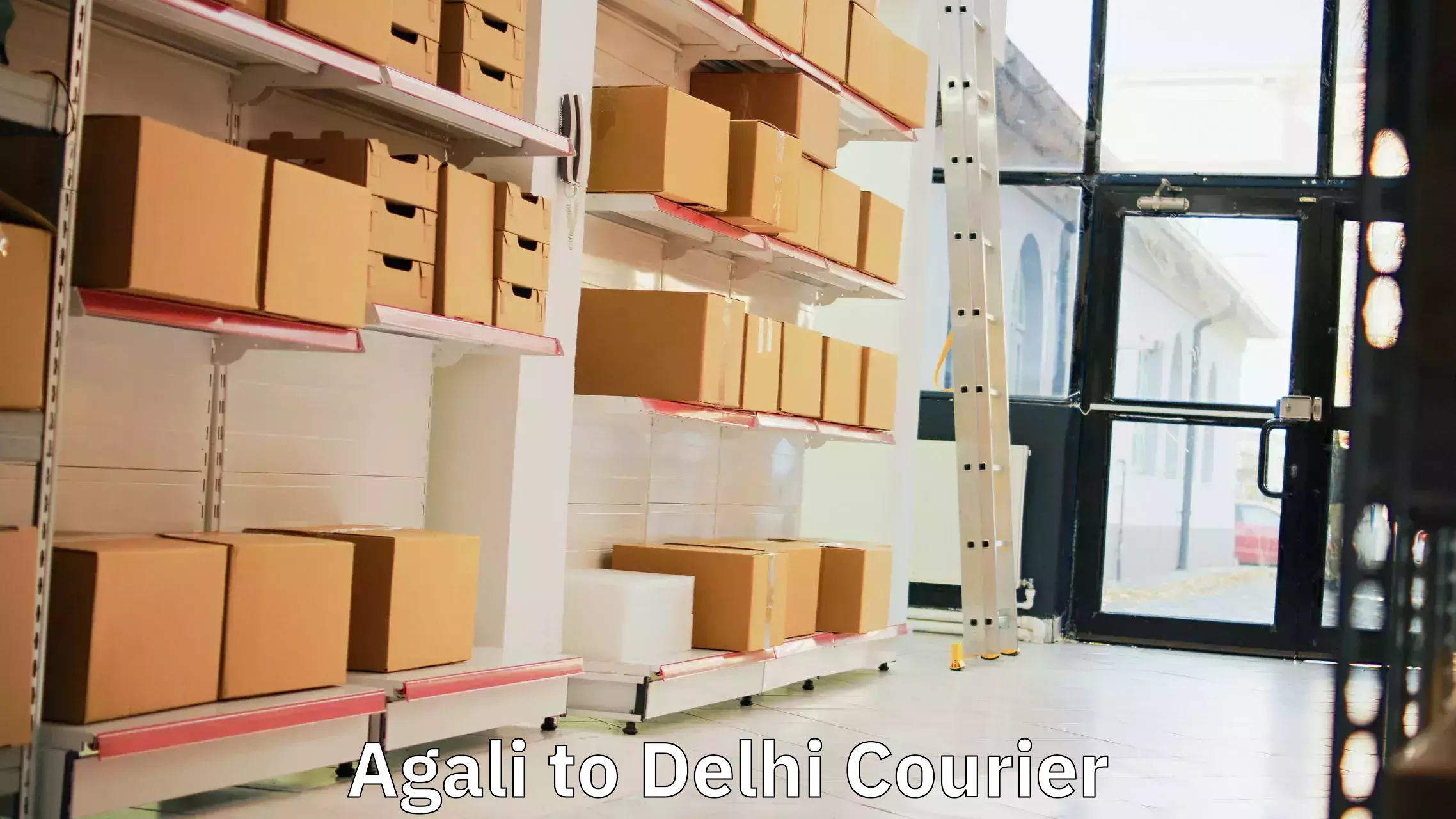 Courier service efficiency Agali to NIT Delhi