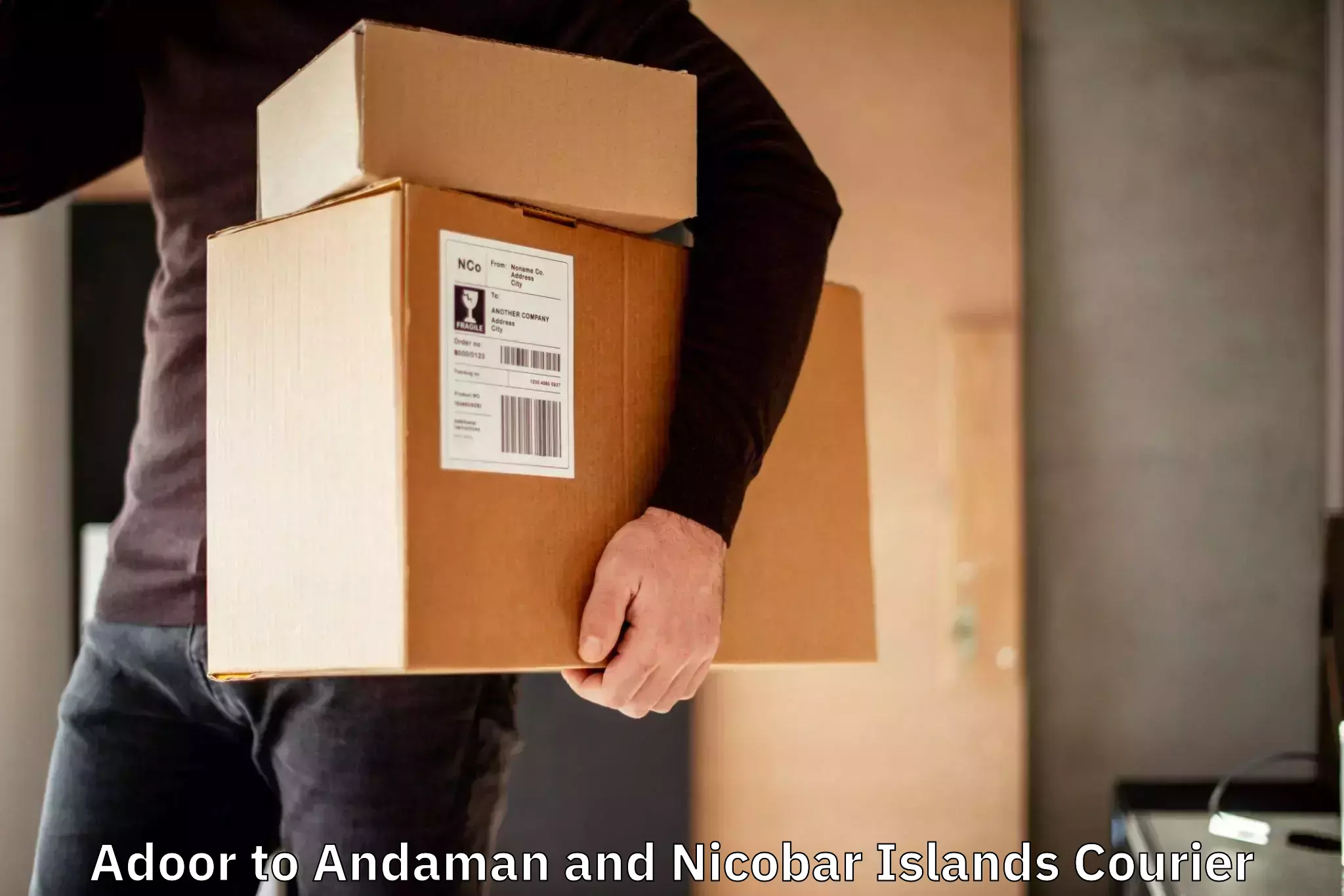 Versatile courier offerings Adoor to Nicobar