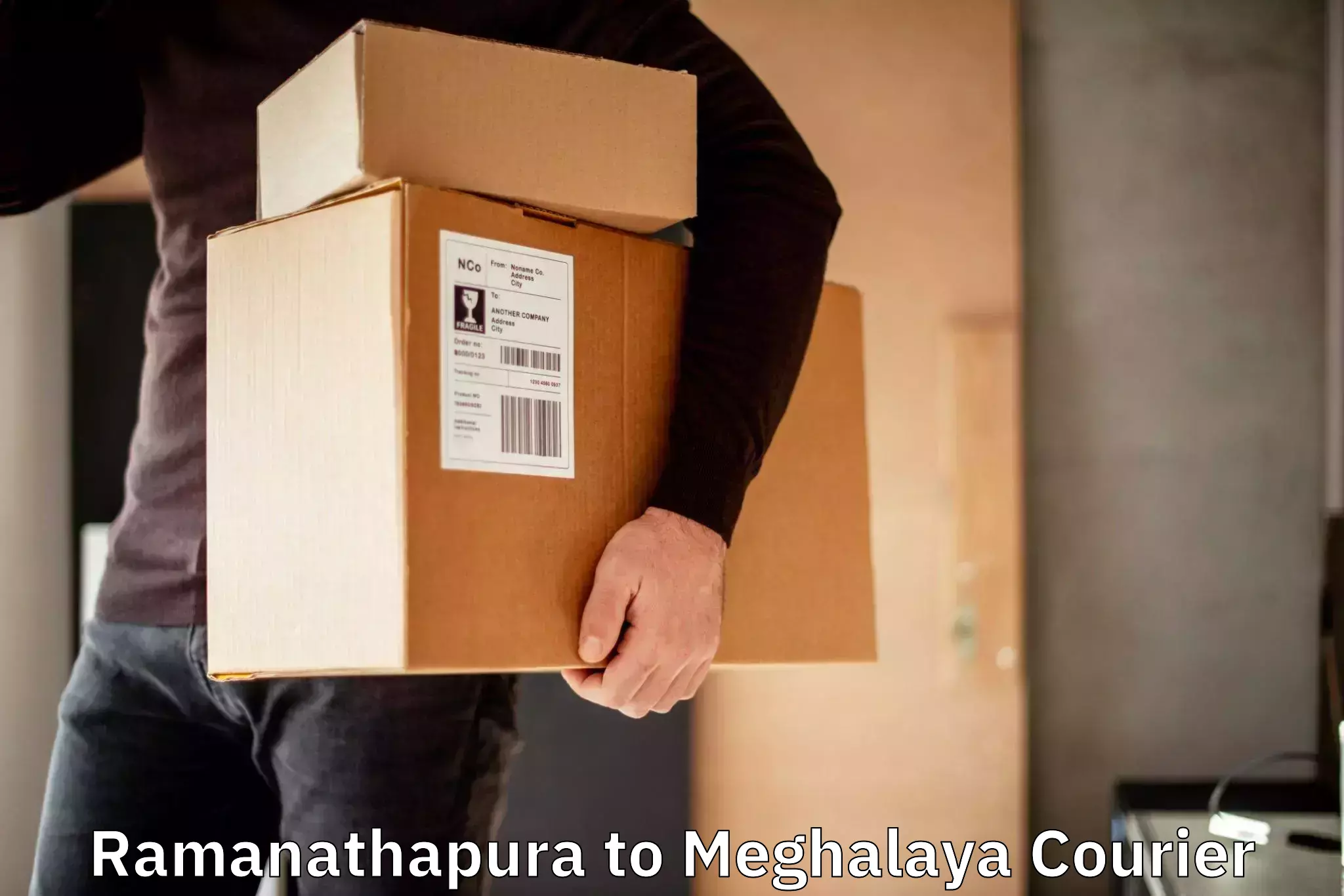 Express mail solutions Ramanathapura to Meghalaya