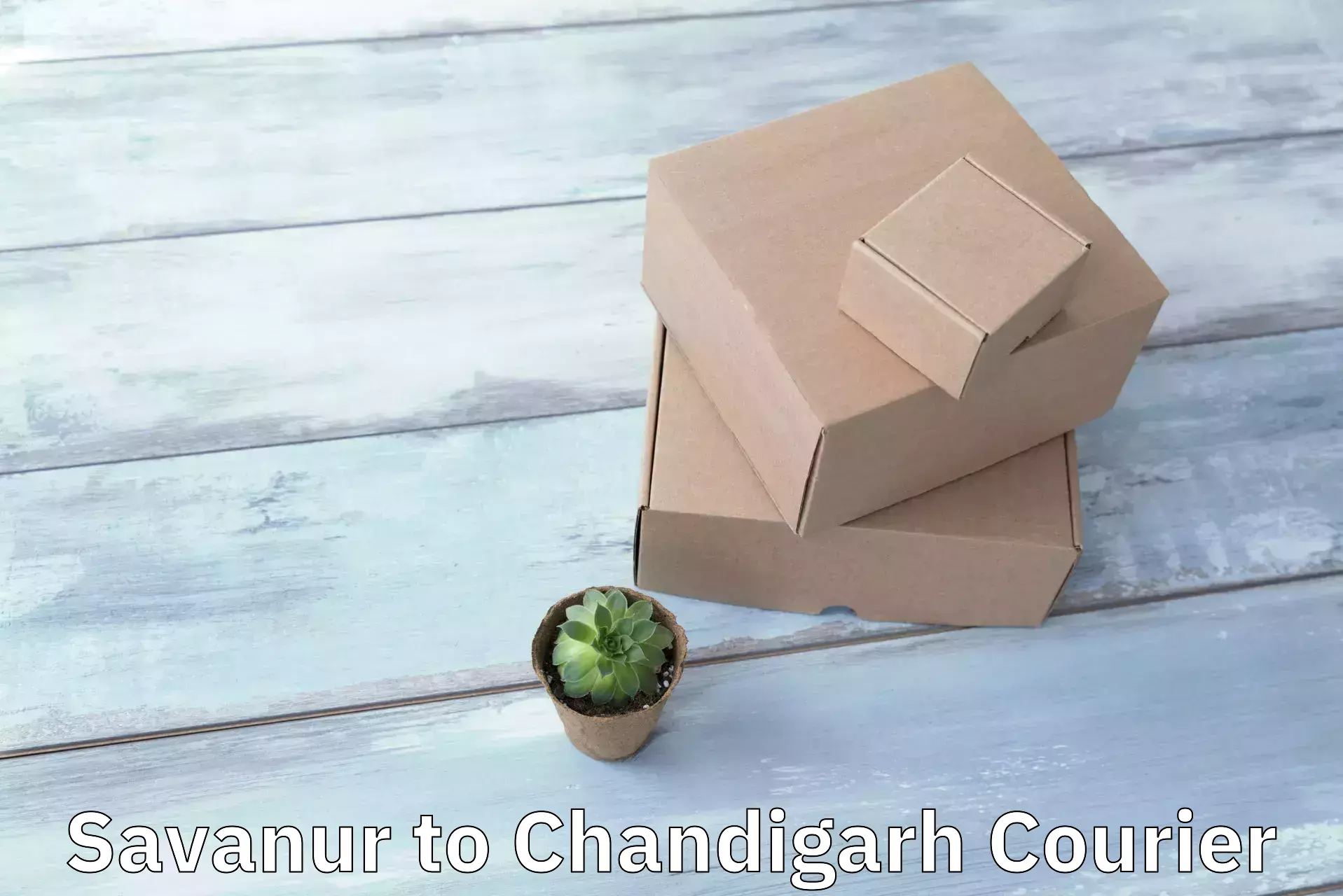 International parcel service Savanur to Chandigarh