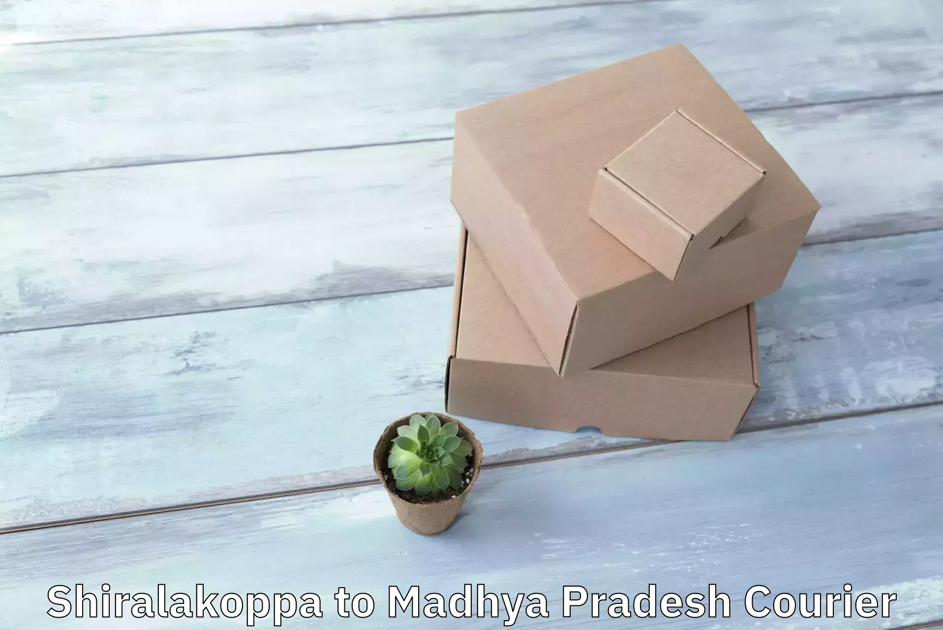 Reliable parcel services Shiralakoppa to Gwalior