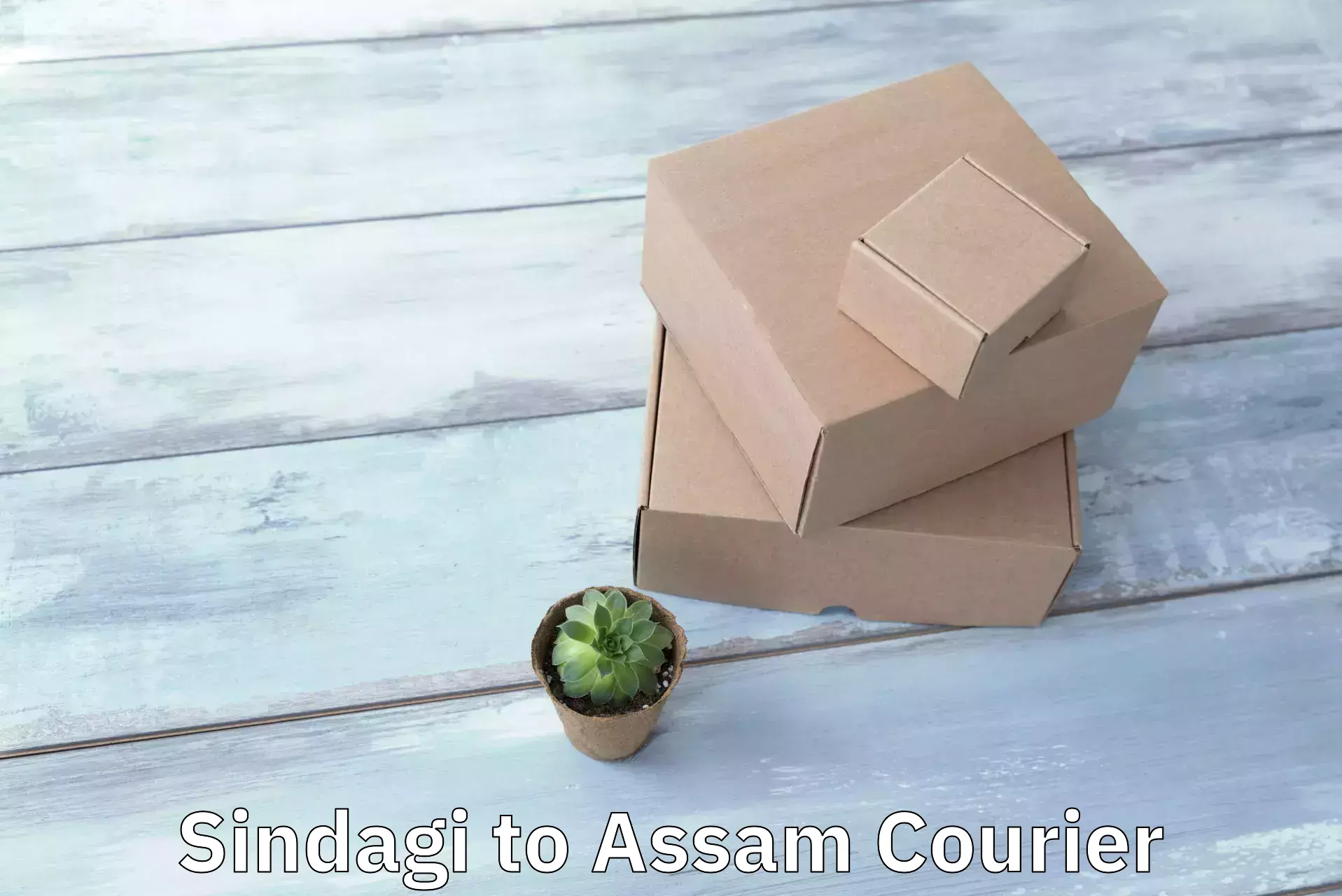 Courier service comparison Sindagi to Assam
