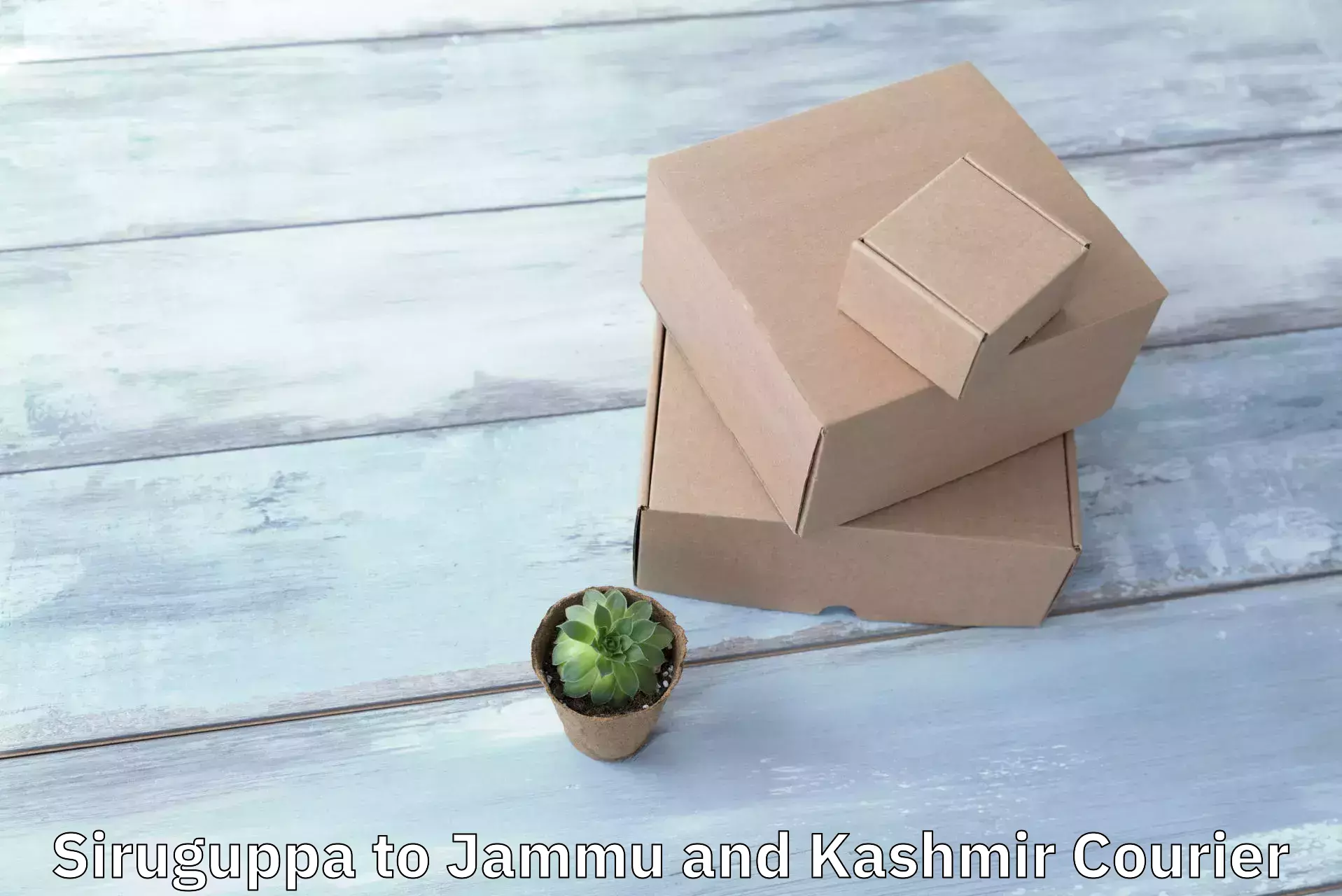 Expedited shipping methods Siruguppa to Jammu and Kashmir