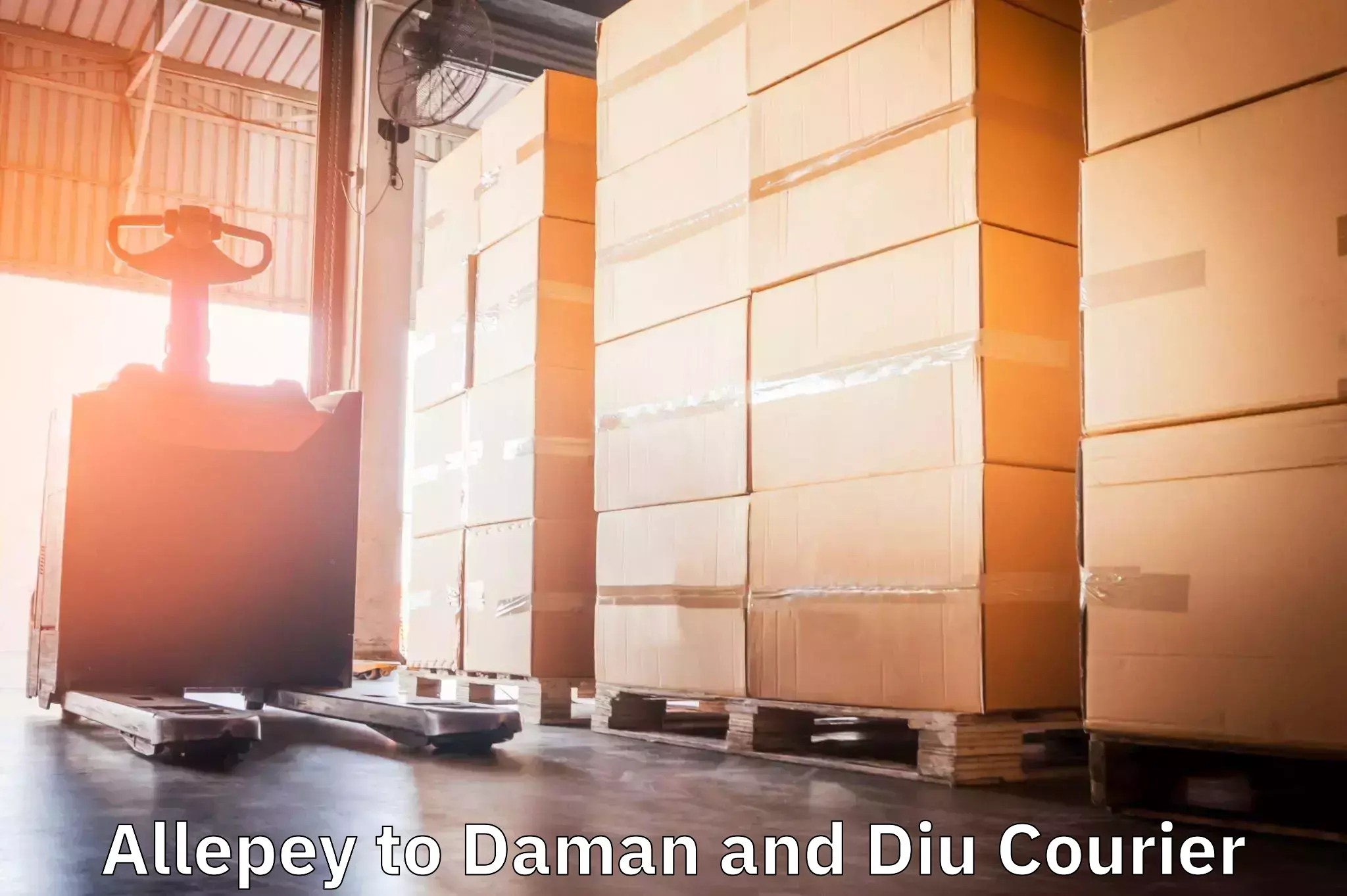 Lightweight parcel options Allepey to Daman and Diu