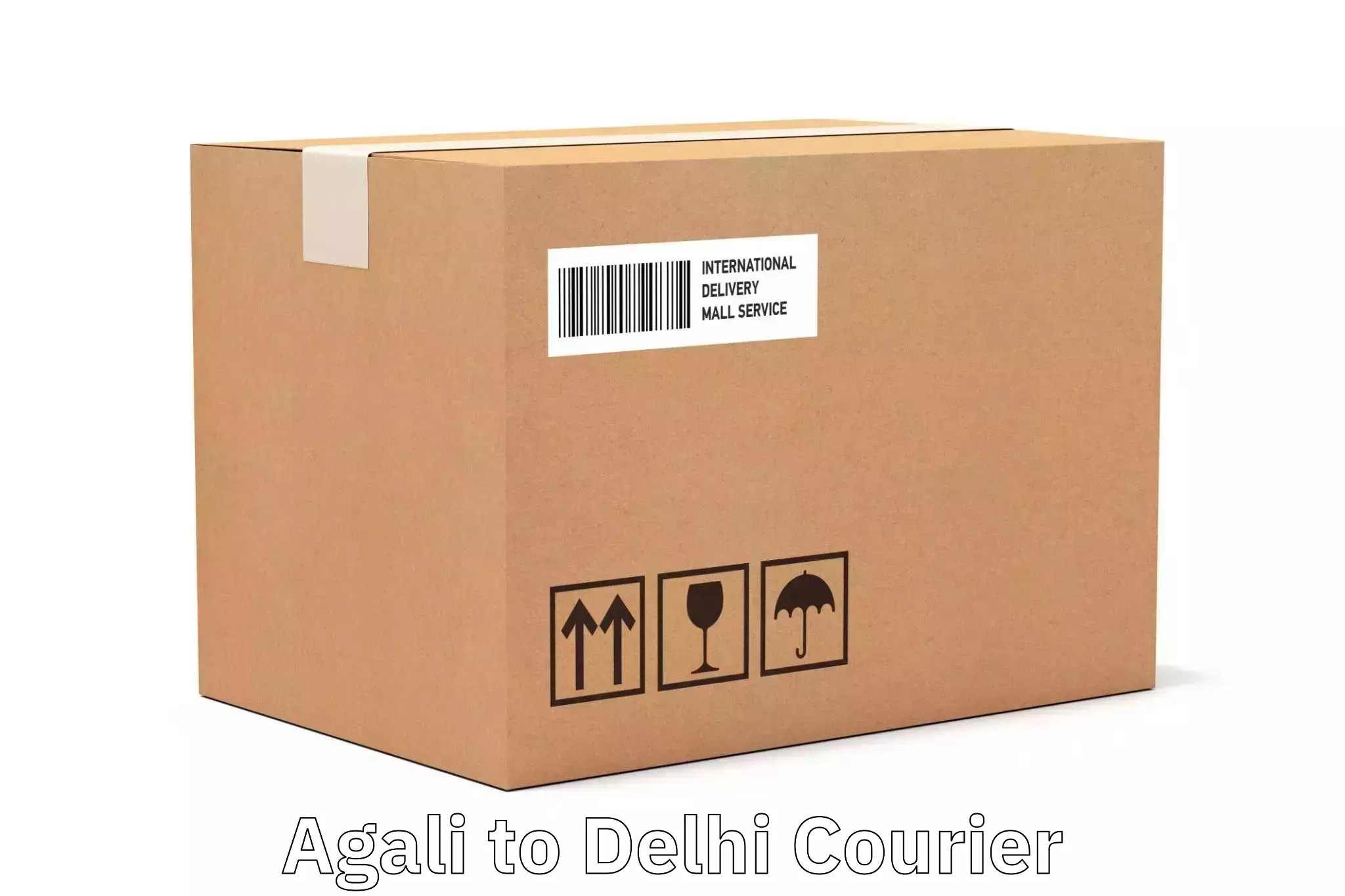 Efficient parcel service Agali to NCR