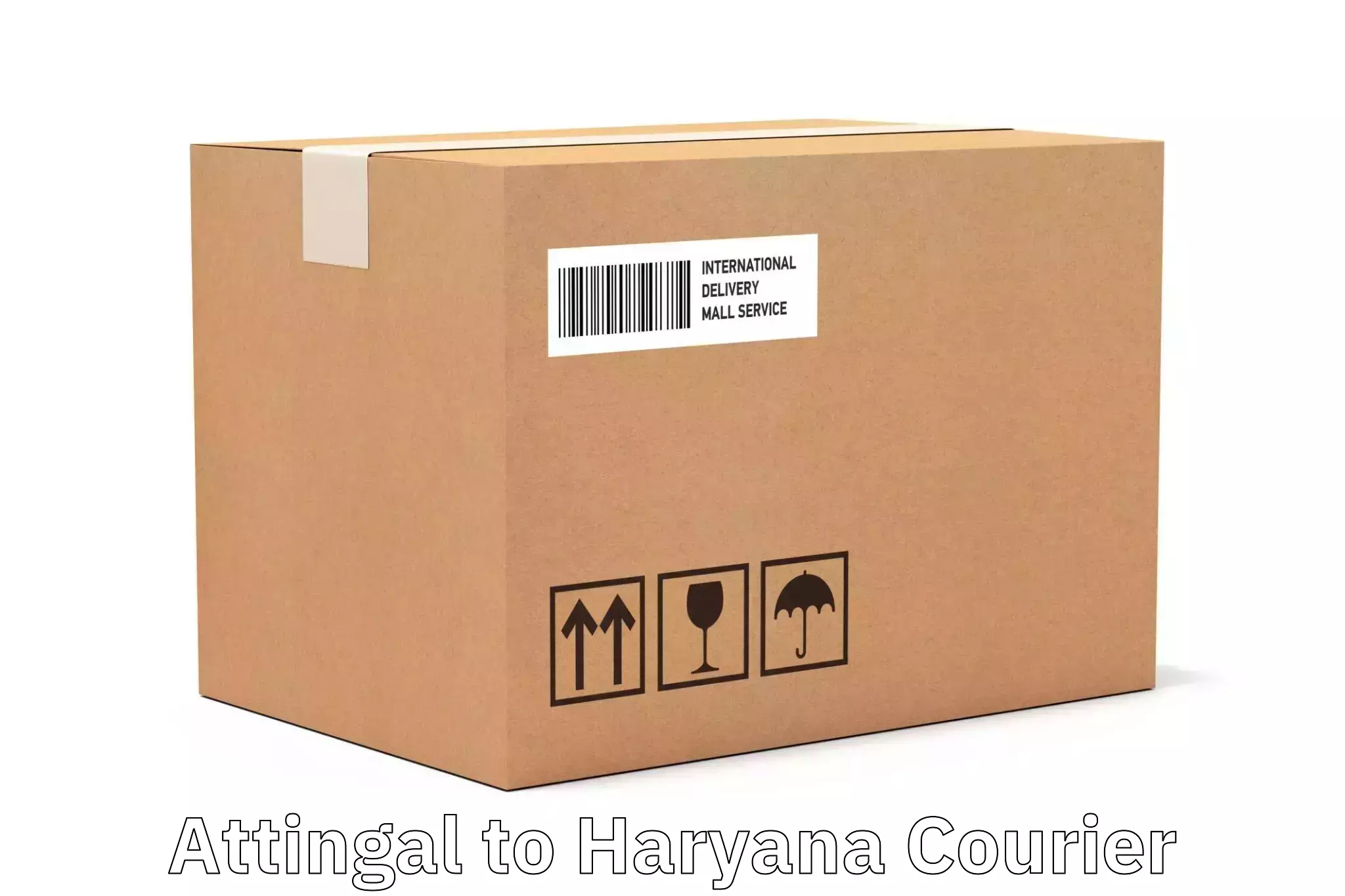 Personal courier services Attingal to Haryana
