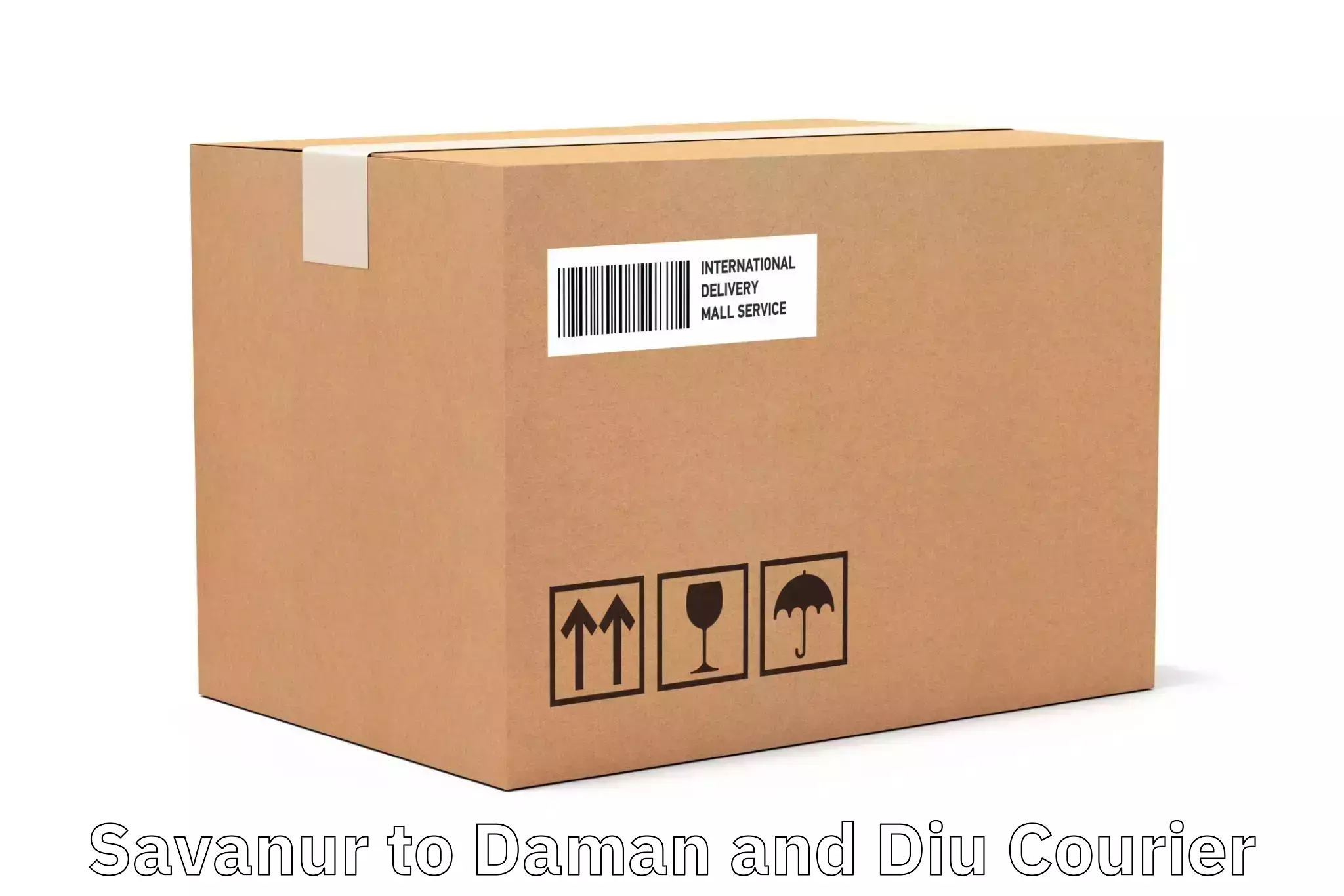 High-efficiency logistics Savanur to Daman and Diu
