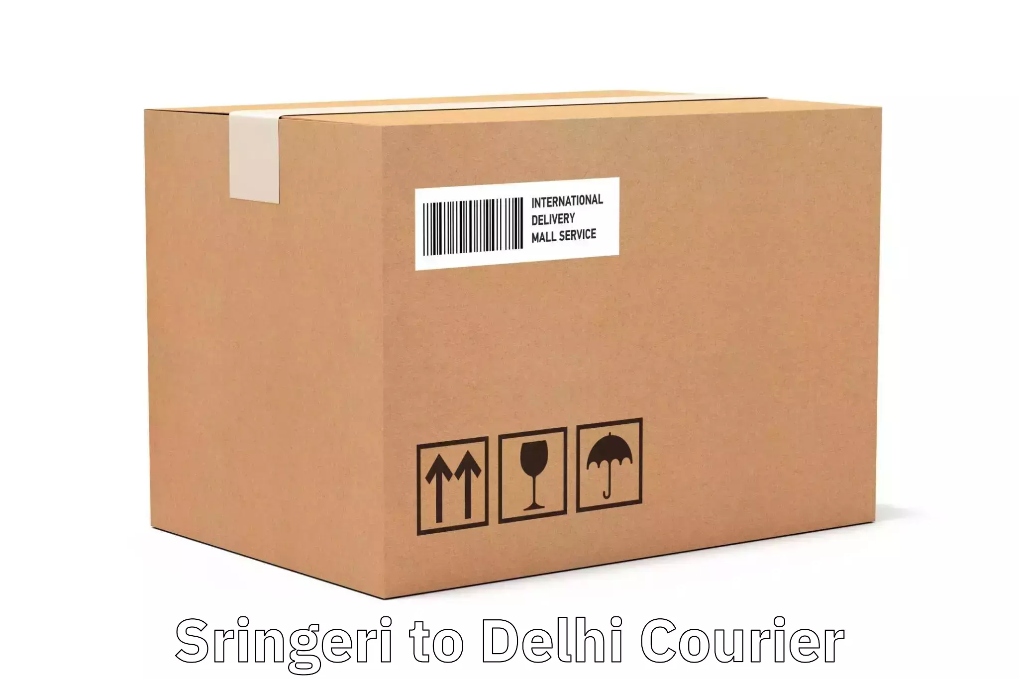 Express delivery capabilities Sringeri to Delhi