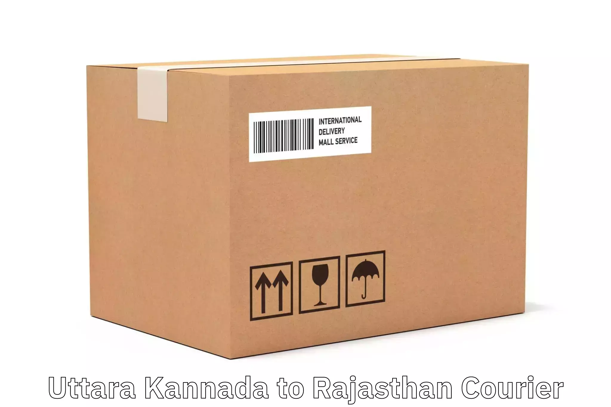 High-performance logistics Uttara Kannada to Dholpur