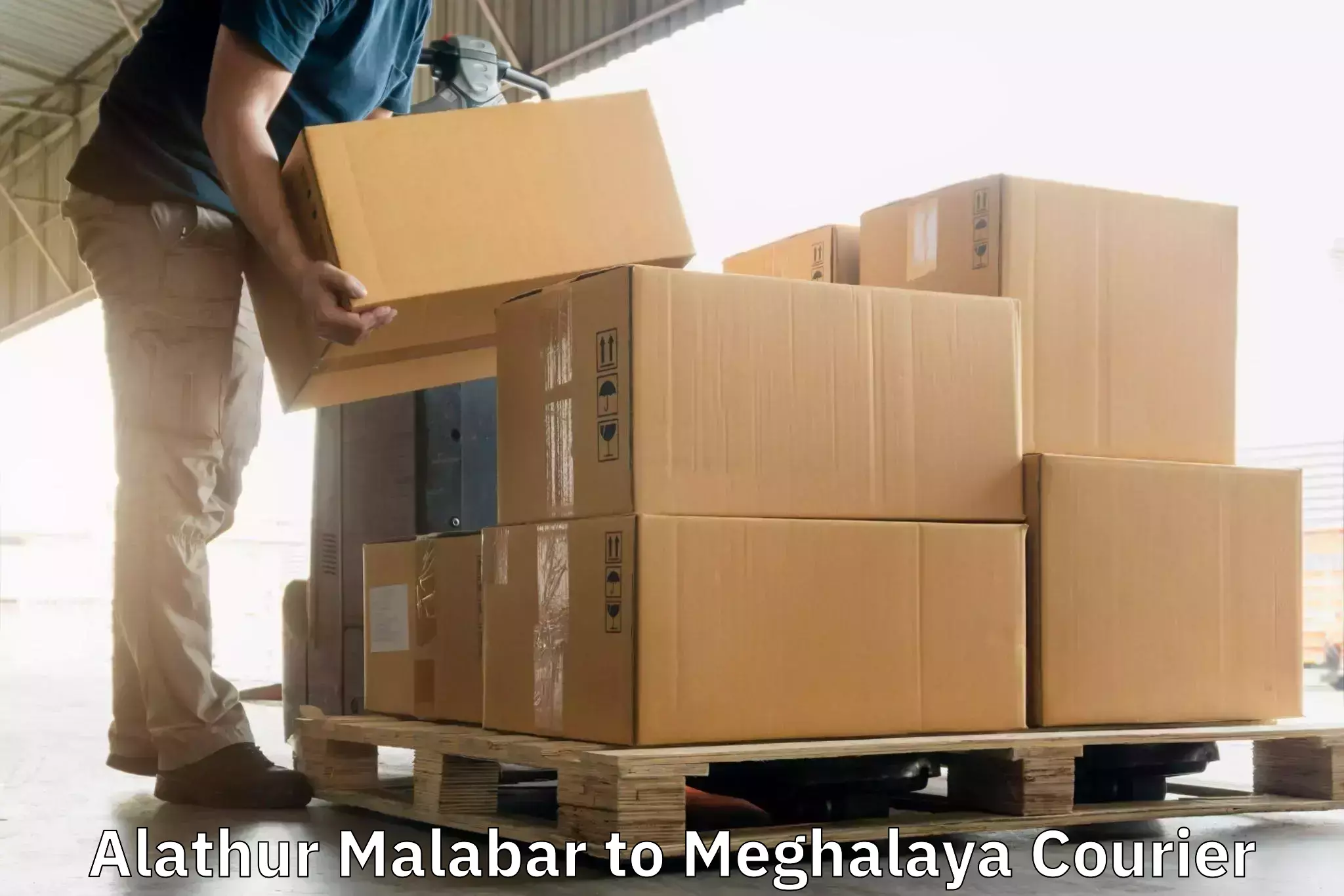Multi-national courier services Alathur Malabar to North Eastern Hill University Shillong