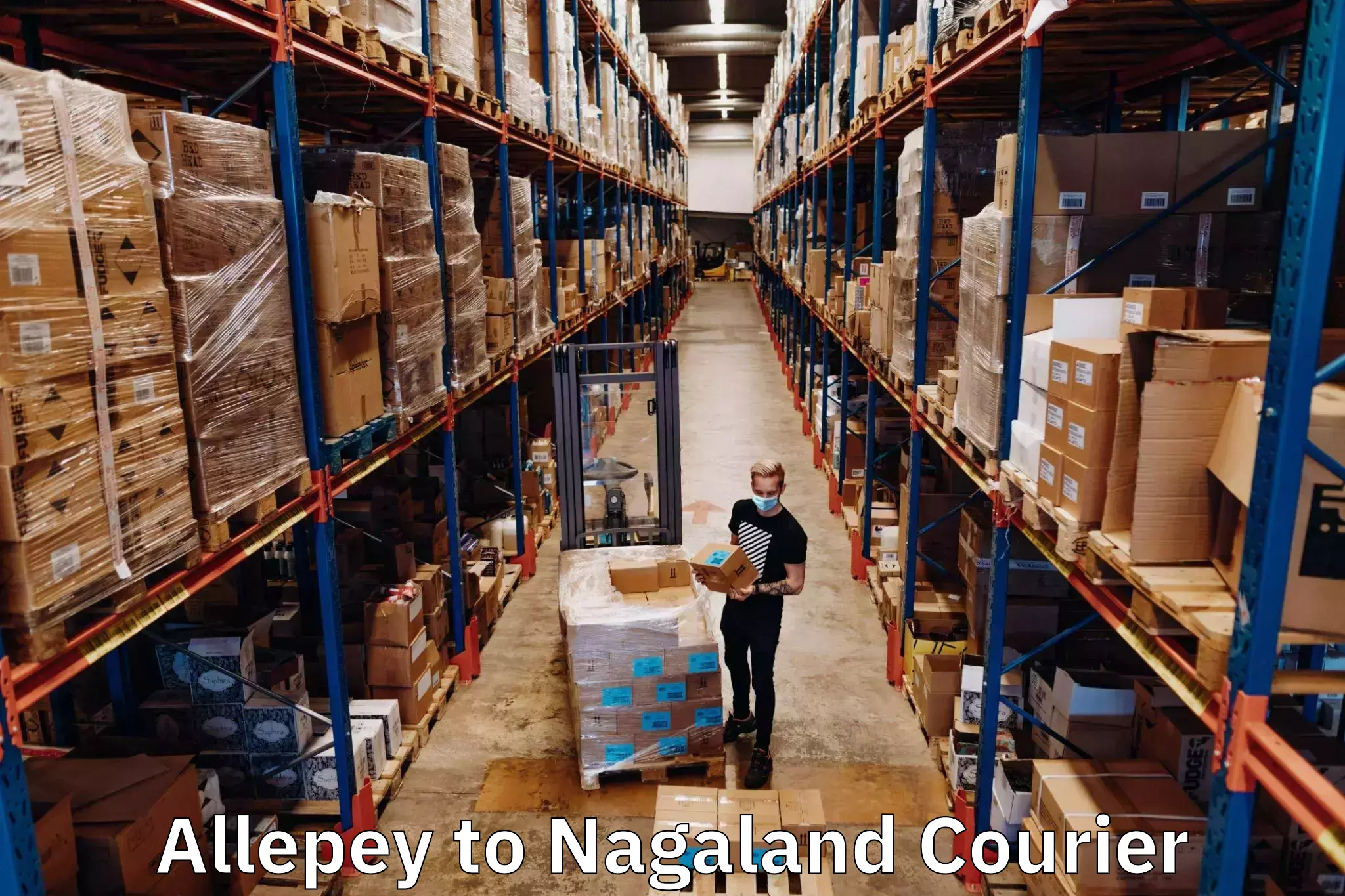 Global parcel delivery Allepey to Nagaland