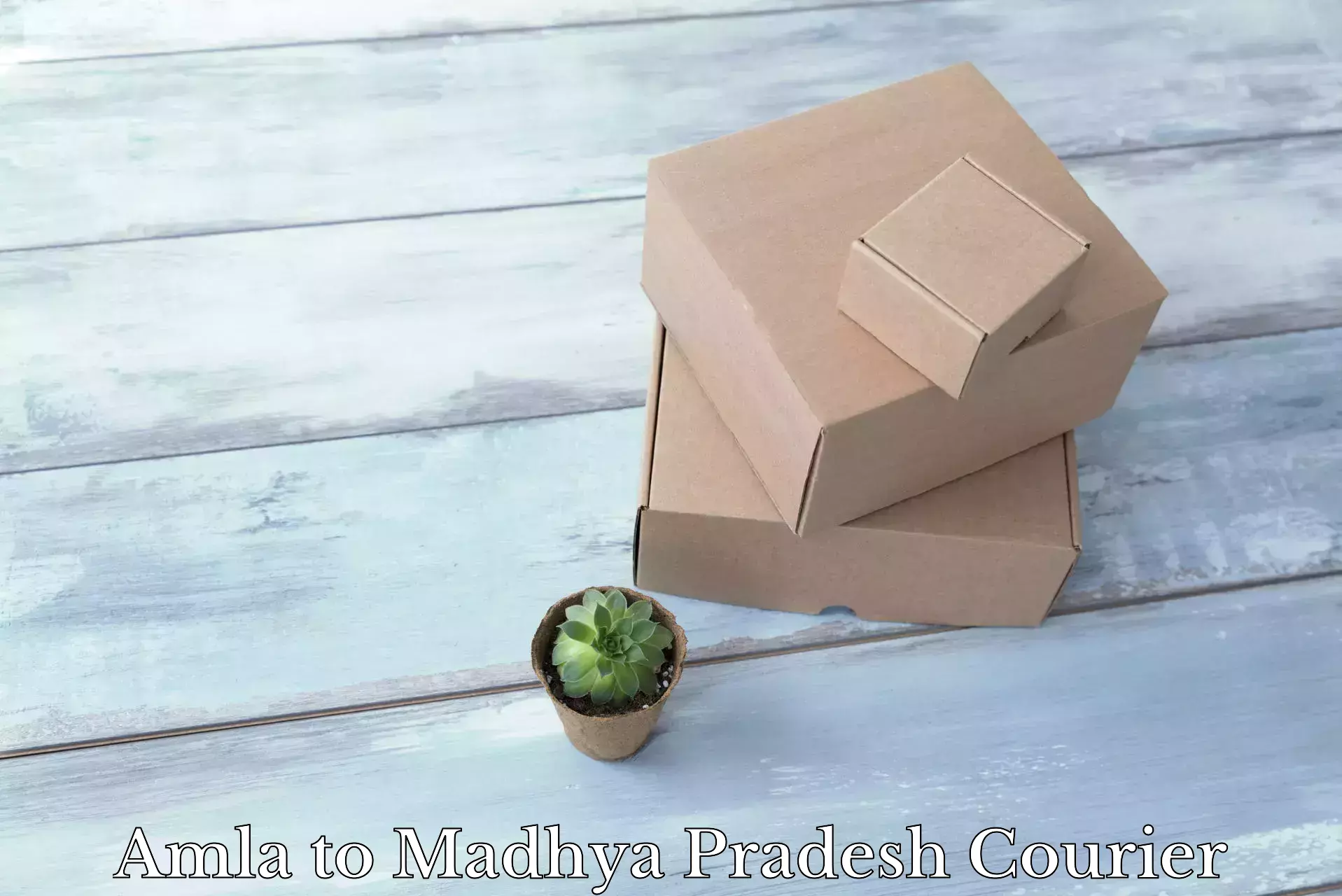 Expert household movers Amla to Tendukheda