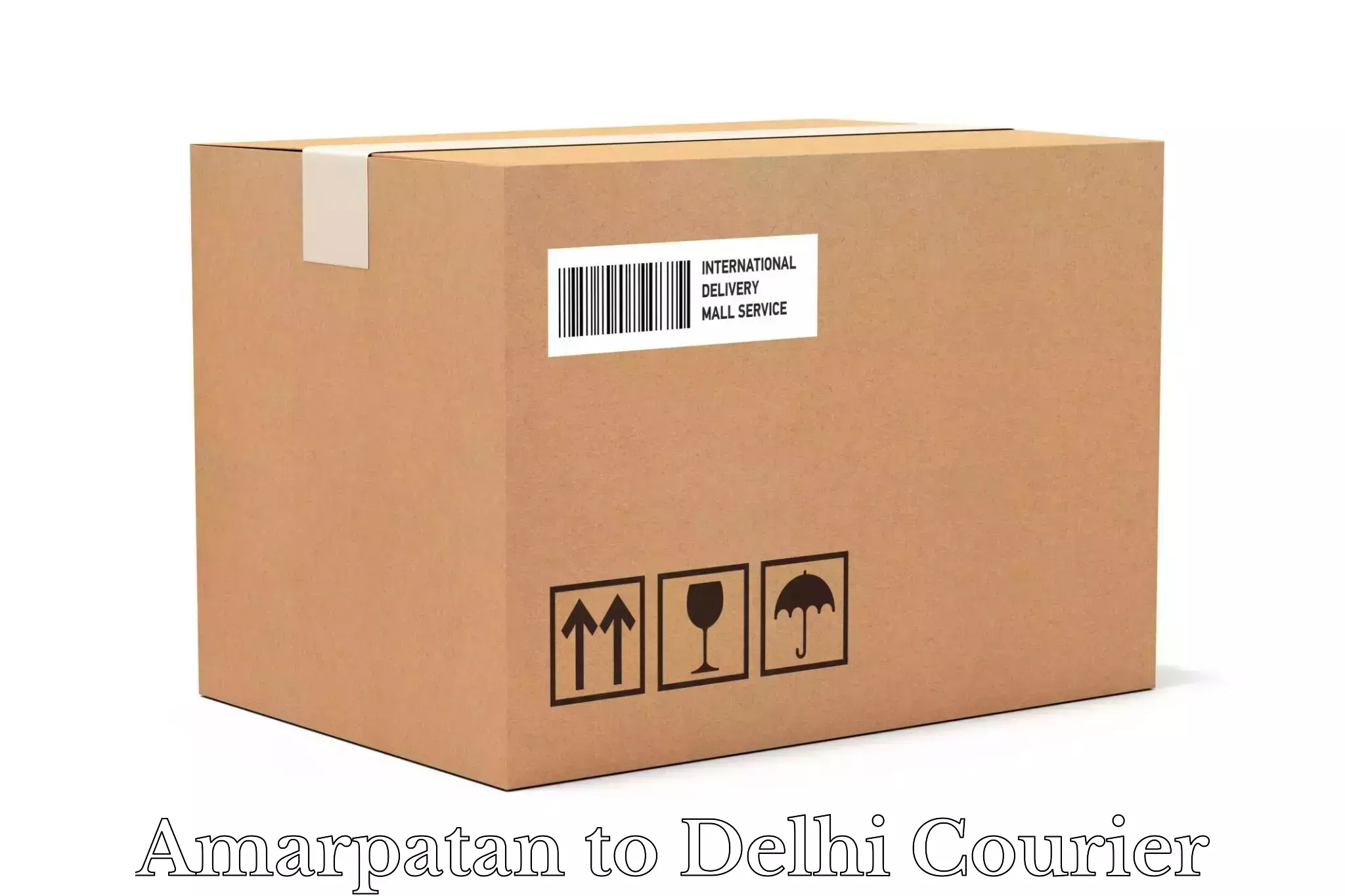 Professional packing services Amarpatan to Delhi