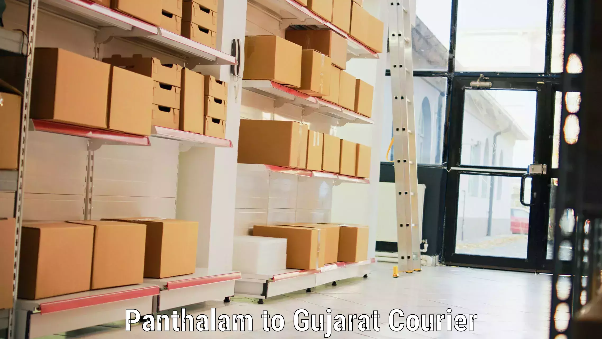 Baggage courier solutions Panthalam to Narmada Gujarat