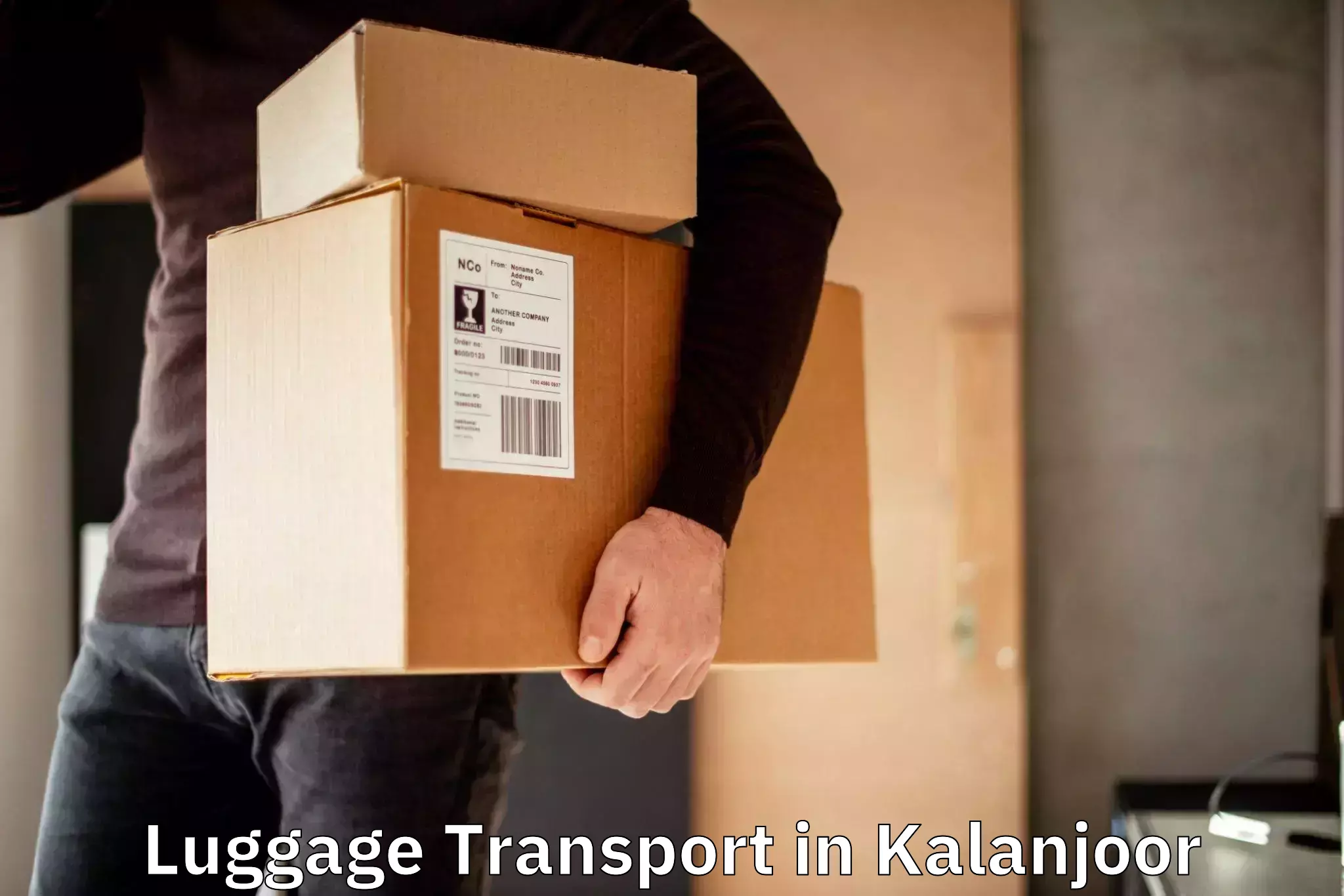 Round trip baggage courier in Kalanjoor