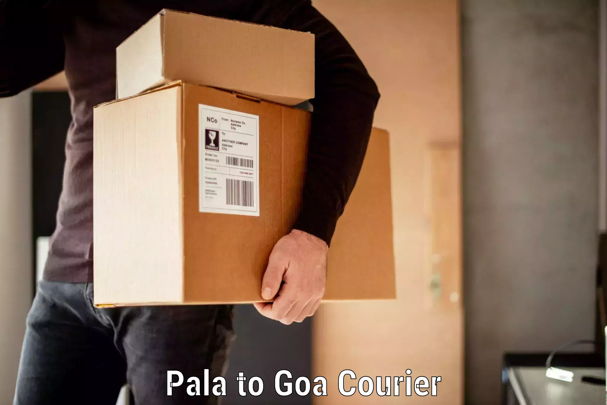 Luggage shipment strategy Pala to South Goa