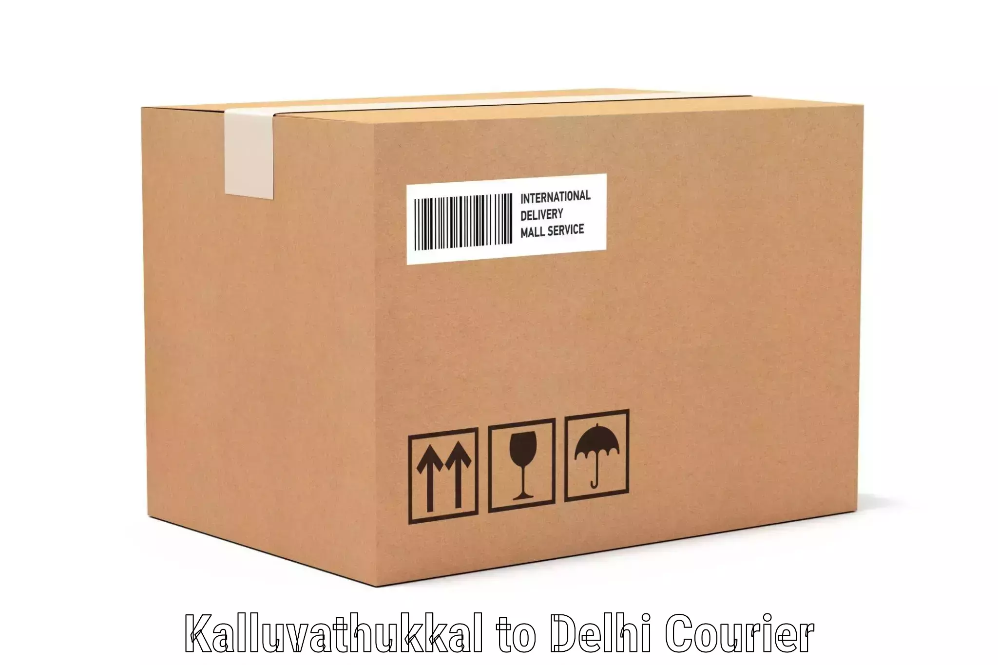 Baggage transport logistics Kalluvathukkal to Jawaharlal Nehru University New Delhi