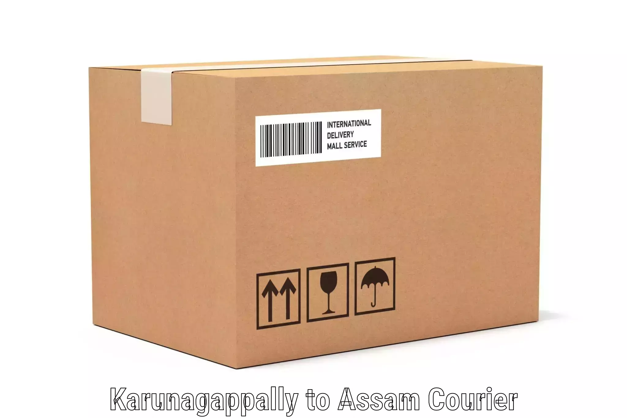 Luggage shipping planner Karunagappally to Agomani
