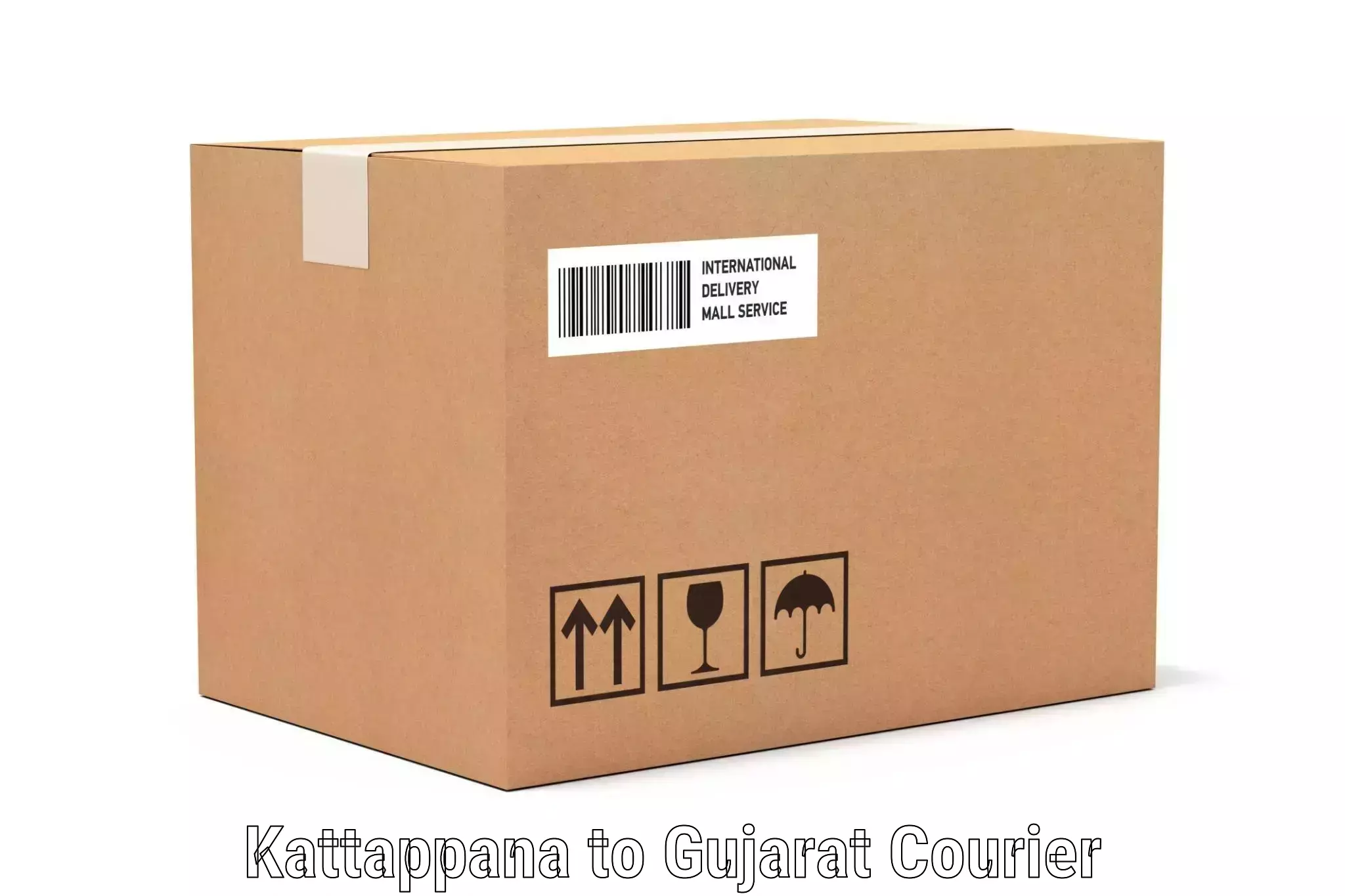 Baggage courier guide Kattappana to Dholka
