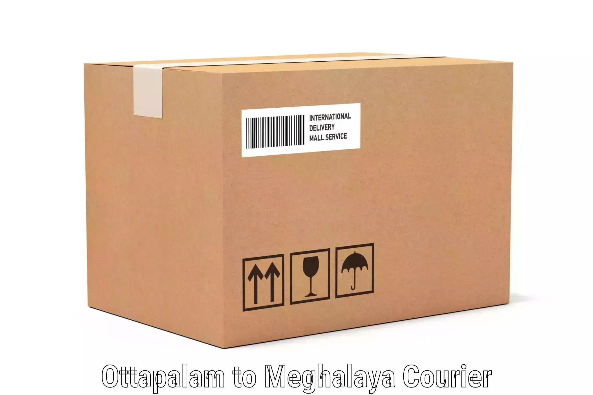 Luggage courier logistics Ottapalam to Marshillong