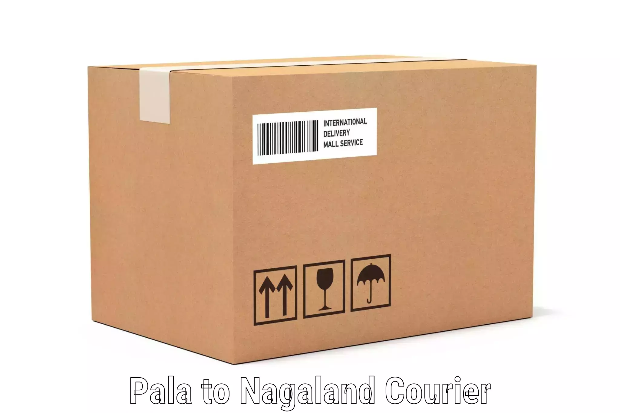 Hassle-free luggage shipping Pala to NIT Nagaland