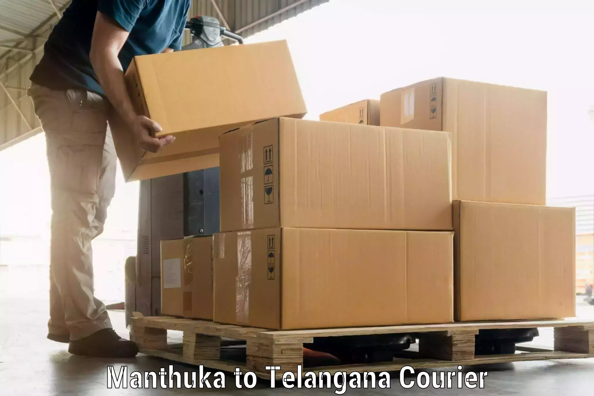 Holiday season luggage delivery Manthuka to Manthani
