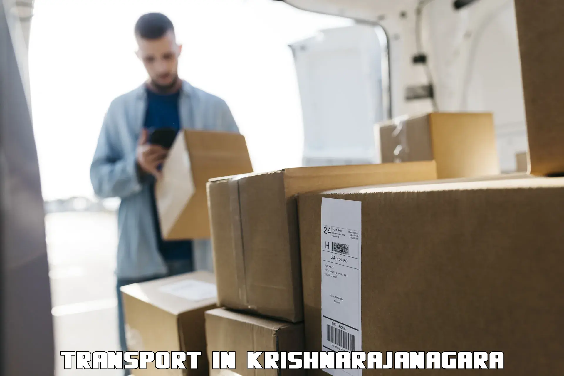 Delivery service in Krishnarajanagara