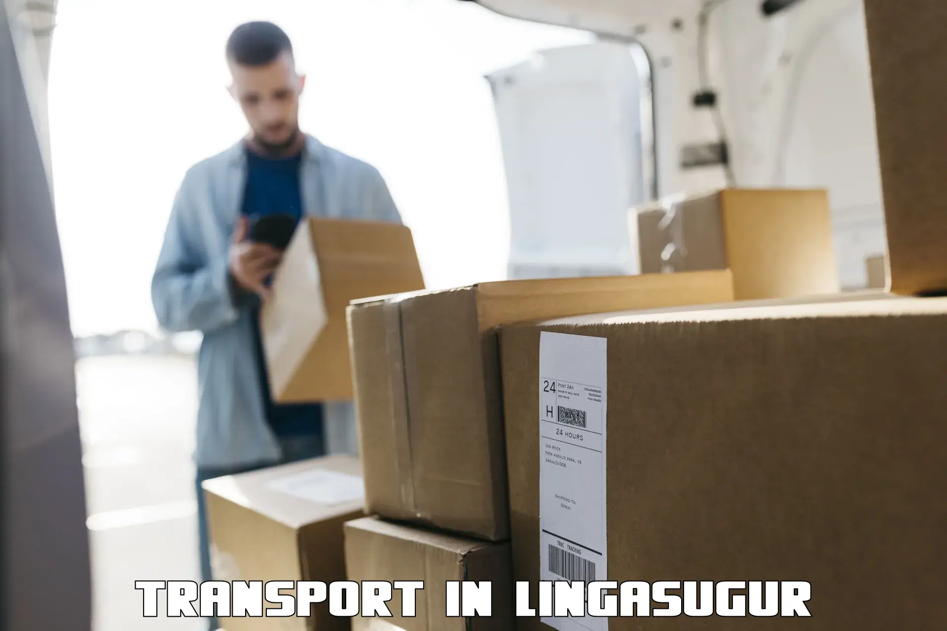 Package delivery services in Lingasugur