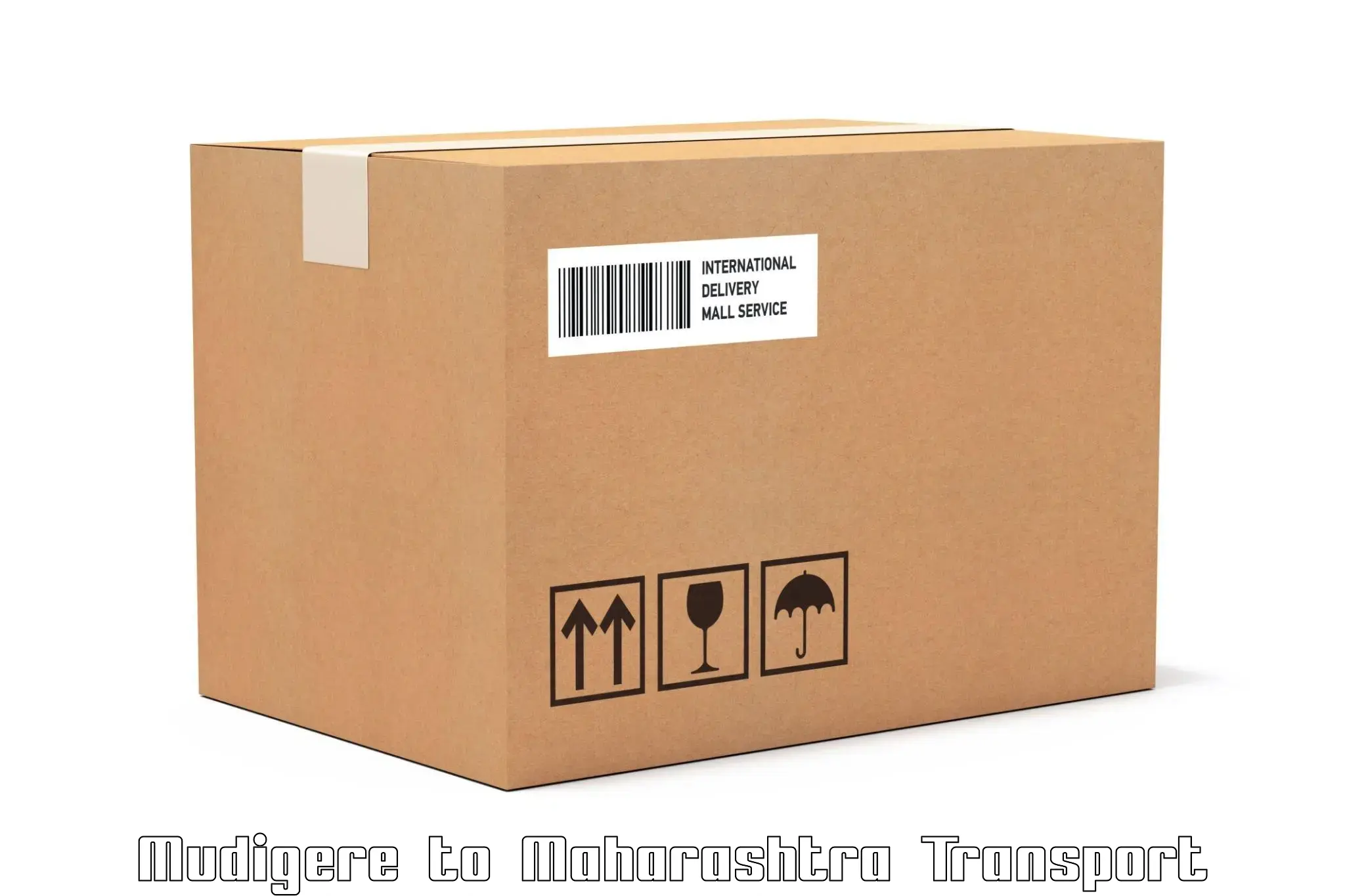Parcel transport services in Mudigere to Thane