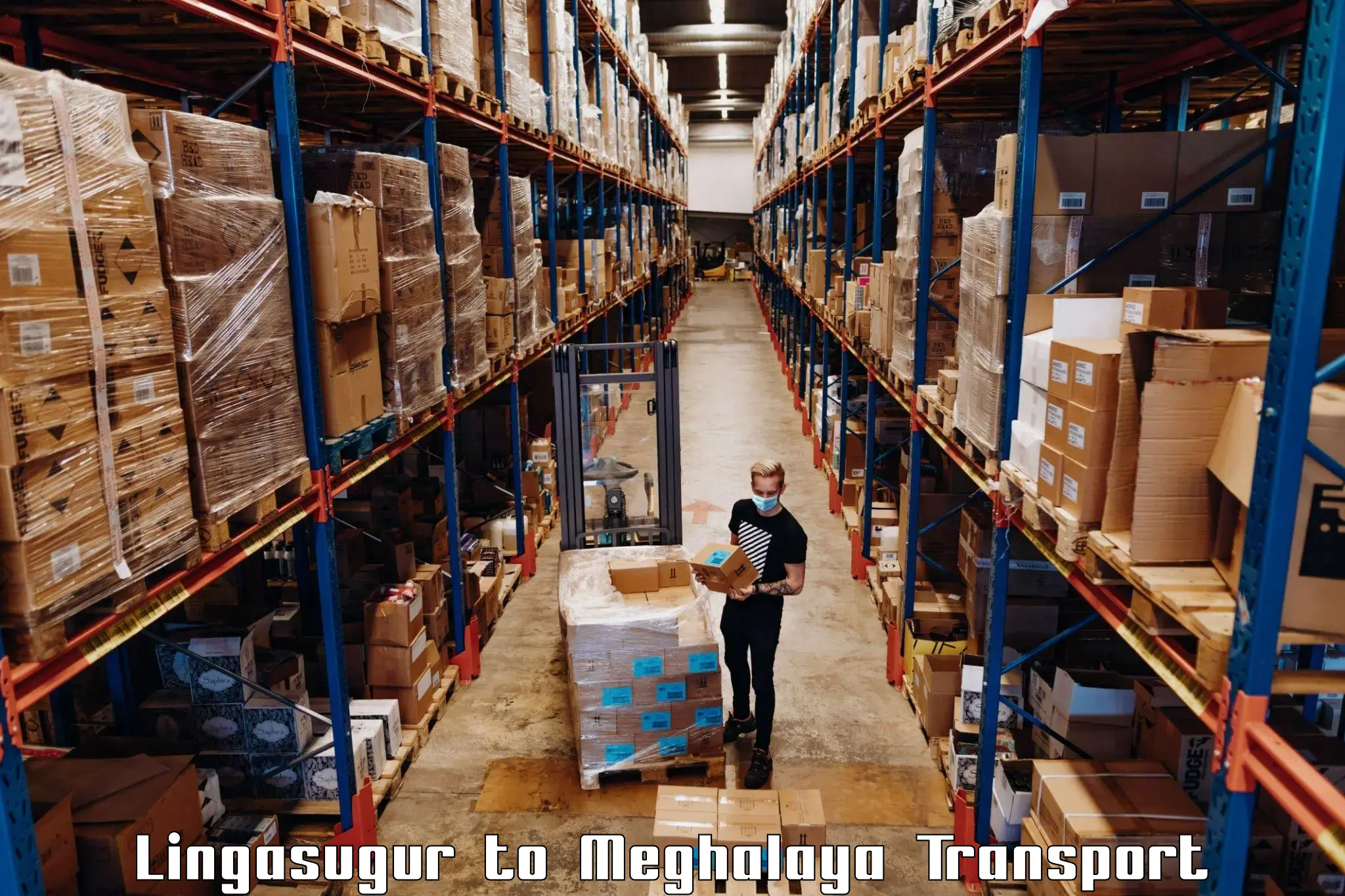 Material transport services Lingasugur to Williamnagar